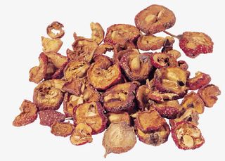 中药材山楂免抠