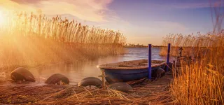秋意浓淘宝天猫背景高清