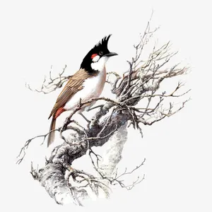 冬季飞鸟免抠