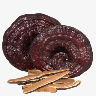 野生紫灵芝免抠