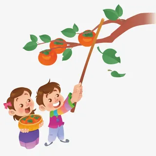 小朋友在摘柿子免抠