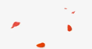 飘落的红色花瓣素材免抠