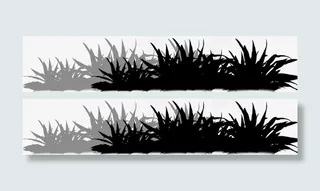 黑色植物草地景观免抠