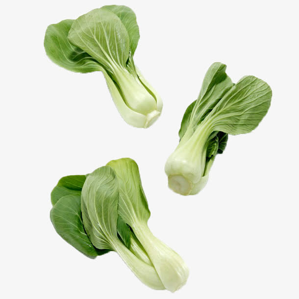 三颗散放的青菜免抠