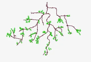 中国风枝条免抠