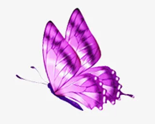 美丽的蝴蝶免抠