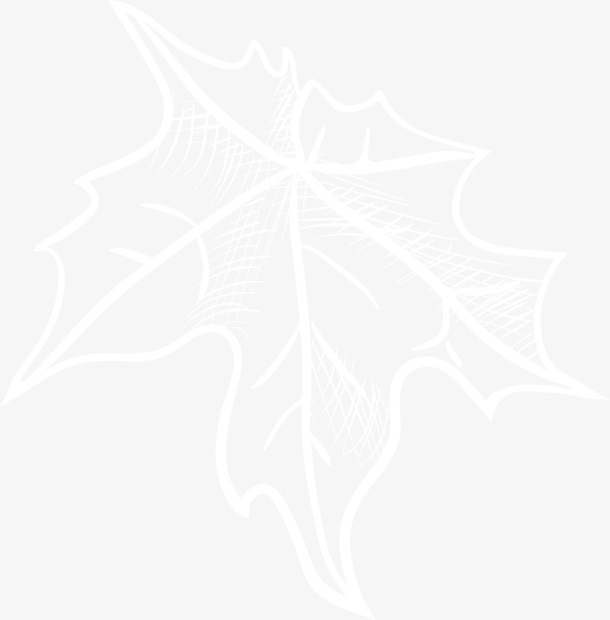 纯洁白色枫叶免抠