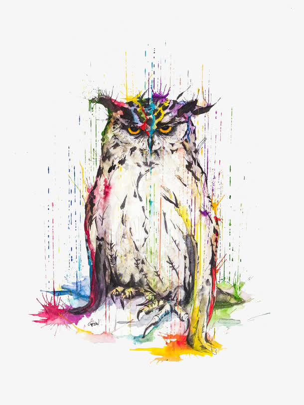 水彩喷洒设计猫头鹰免抠