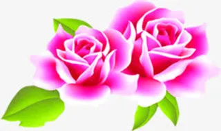 彩绘玫瑰花朵树叶免抠