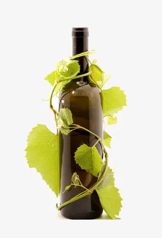 绿色叶子红酒瓶免抠