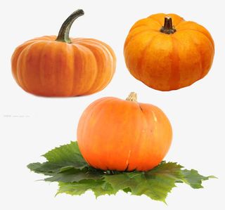 金黄色的南瓜免抠