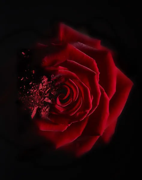 神秘复古红色花朵免抠