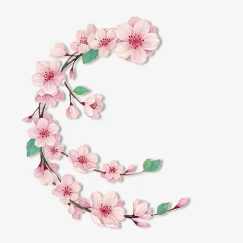 手绘梅花 高清 png素材免抠