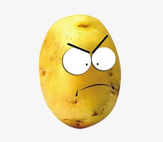 优质土豆素材图片免抠