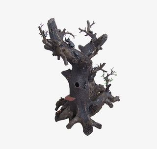 古树桩艺术品免抠