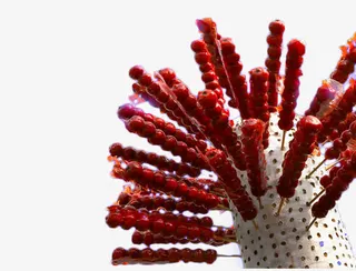 冰糖葫芦素材图片免抠