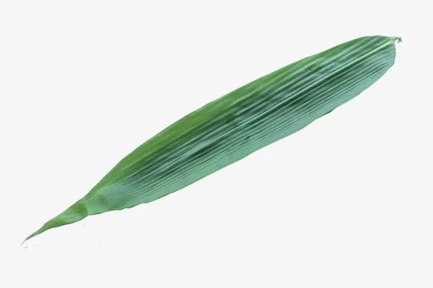 粽子的粽叶免抠