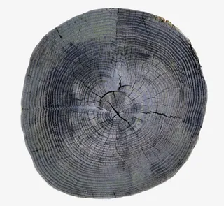 黑色带裂纹木头截面实物免抠