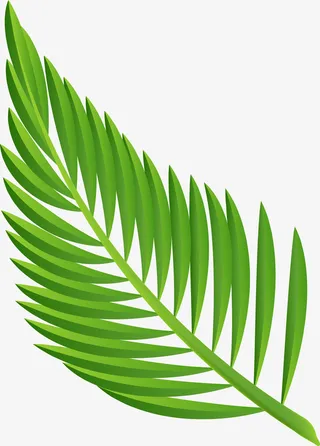 卡通棕榈叶叶子图免抠