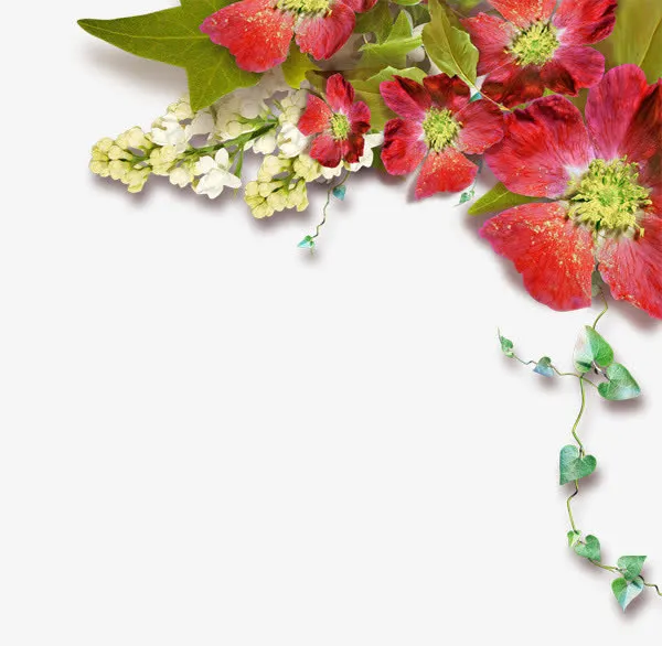 花边边角免抠