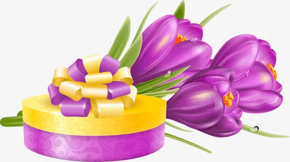 鲜花和蛋糕免抠 鲜花和蛋糕免抠