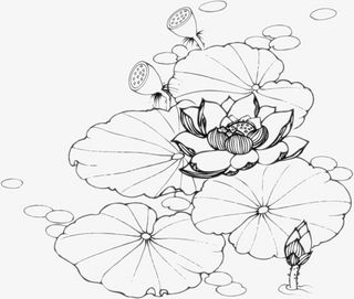 睡莲线稿png图免抠