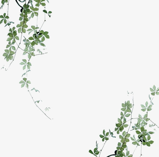 小清新背景素材