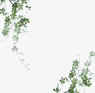 小清新背景素材