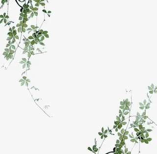 小清新背景素材