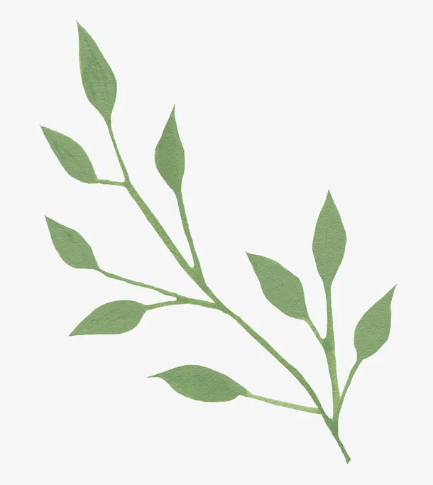 手绘枝叶植物油画质感纹理免抠