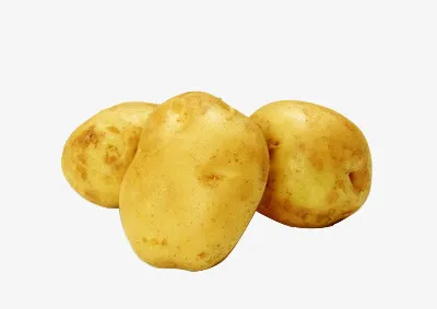 三颗土豆免抠