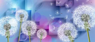 蒲公英背景图高清