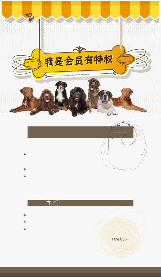 宠物店免抠