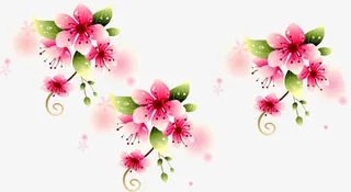 春天唯美粉色花朵免抠