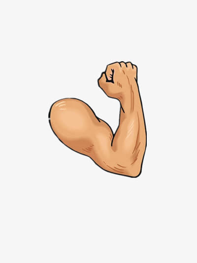肌肉免抠