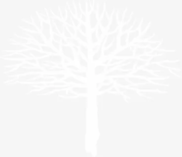 白色树枝创意插画免抠