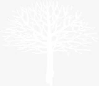 白色树枝创意插画免抠