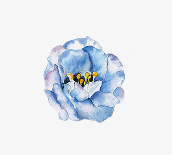 蓝色的花免抠