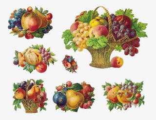 手绘水果素材免抠