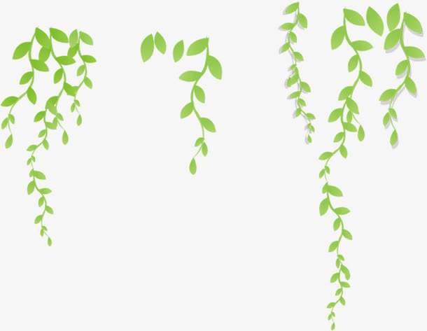 春天手绘清新藤蔓免抠