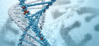 遗传基因图片高清