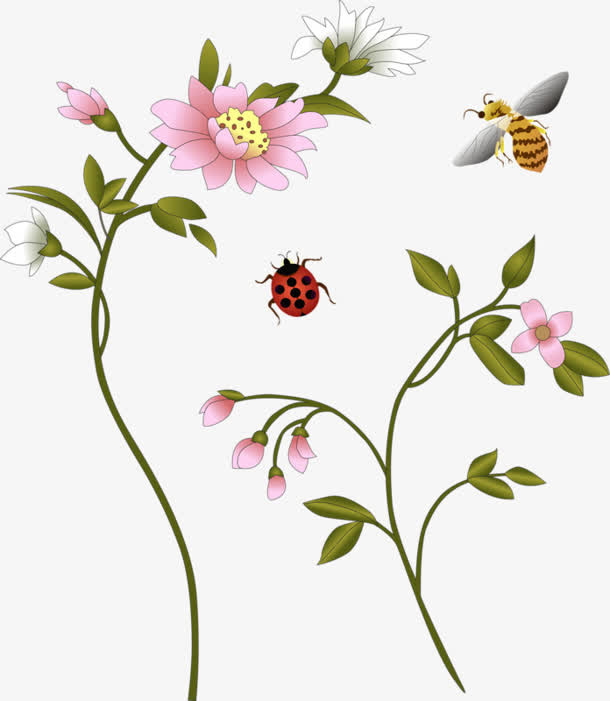 红色花朵七星瓢虫蜜蜂免抠