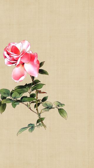中国风工笔画花朵H5背景素材高清