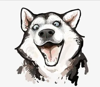 水彩哈士奇免抠