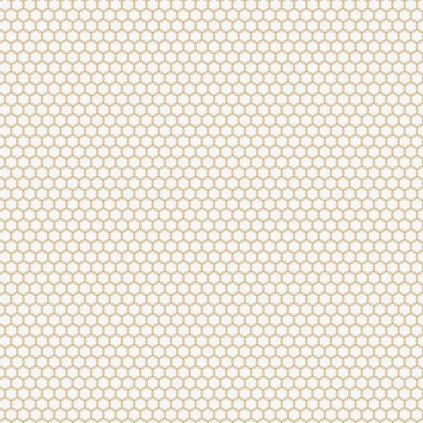 黄色清新蜂窝边框纹理免抠