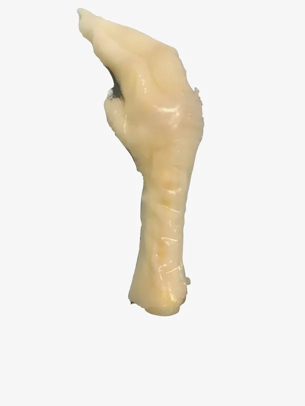 鸡爪，白色鸡爪，单个鸡爪，酸辣鸡爪免抠