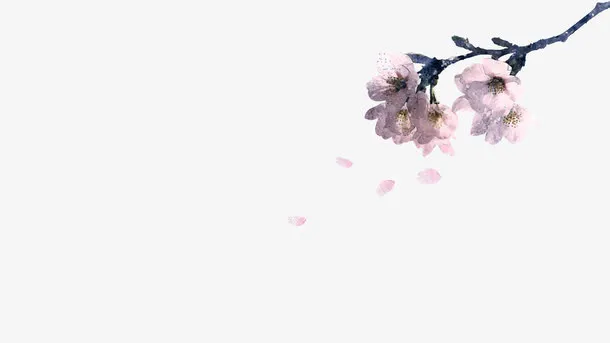 粉色花瓣免抠