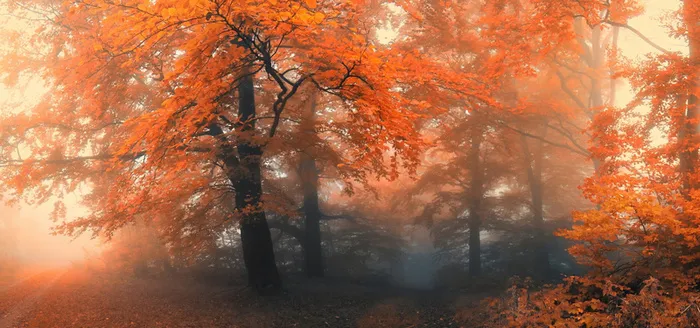 淘宝背景图高清