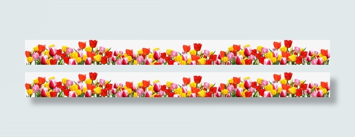 盛开的花丛免抠