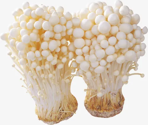 金针菇食材免抠